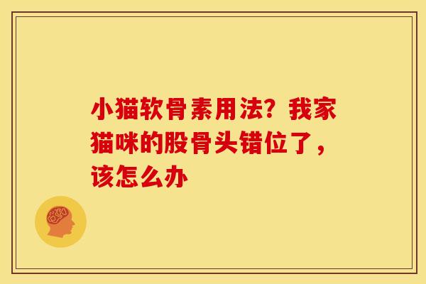 小猫软骨素用法？我家猫咪的股骨头错位了，该怎么办