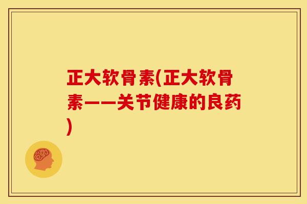正大软骨素(正大软骨素——关节健康的良药)