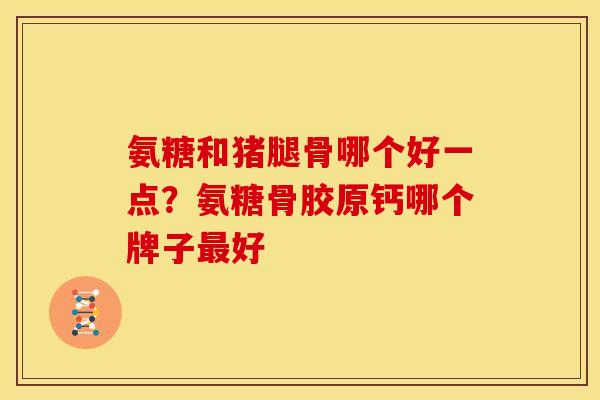 氨糖和猪腿骨哪个好一点？氨糖骨胶原钙哪个牌子最好