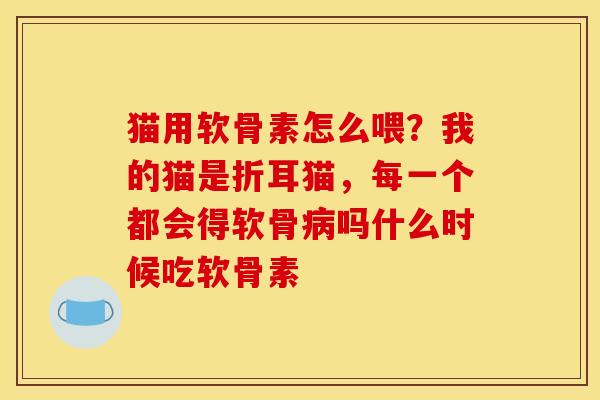 猫用软骨素怎么喂？我的猫是折耳猫，每一个都会得软骨病吗什么时候吃软骨素