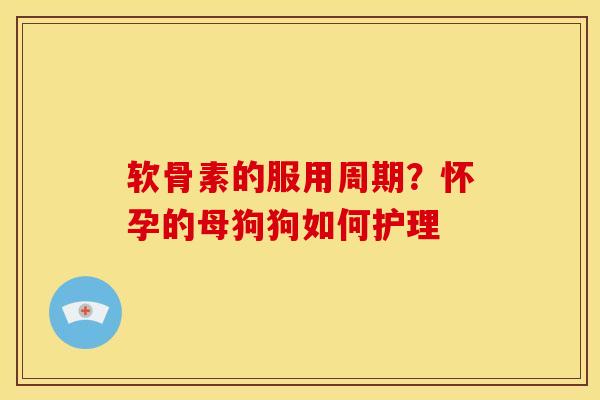 软骨素的服用周期？怀孕的母狗狗如何护理