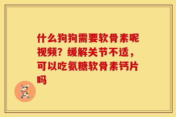 什么狗狗需要软骨素呢视频？缓解关节不适，可以吃氨糖软骨素钙片吗