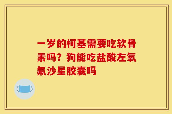 一岁的柯基需要吃软骨素吗？狗能吃盐酸左氧氟沙星胶囊吗
