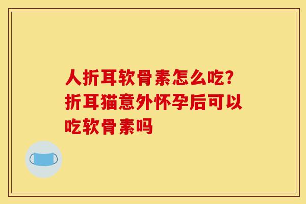 人折耳软骨素怎么吃？折耳猫意外怀孕后可以吃软骨素吗