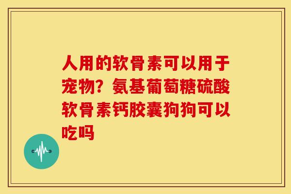 人用的软骨素可以用于宠物？氨基葡萄糖硫酸软骨素钙胶囊狗狗可以吃吗