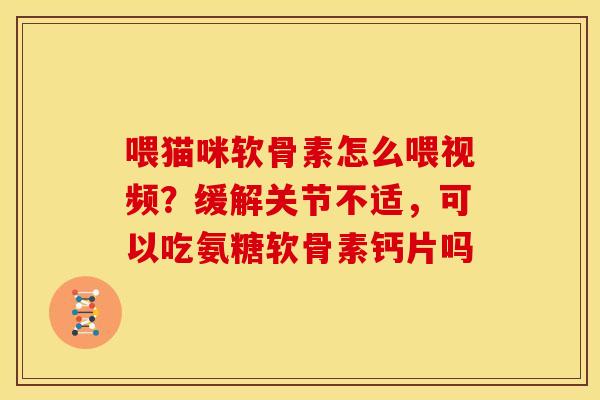 喂猫咪软骨素怎么喂视频？缓解关节不适，可以吃氨糖软骨素钙片吗