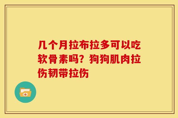 几个月拉布拉多可以吃软骨素吗？狗狗肌肉拉伤韧带拉伤