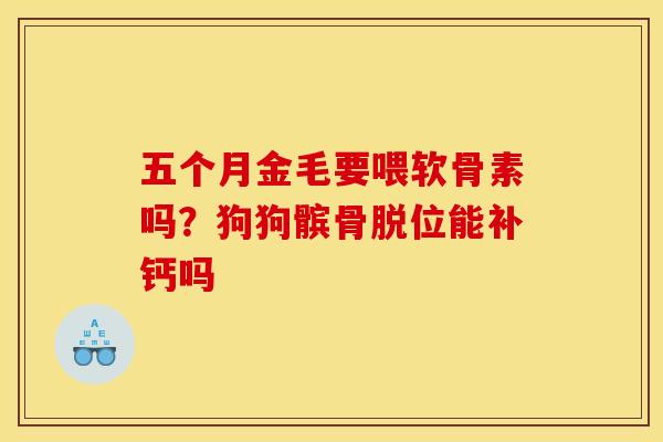 五个月金毛要喂软骨素吗？狗狗髌骨脱位能补钙吗