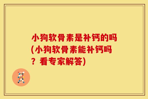 小狗软骨素是补钙的吗(小狗软骨素能补钙吗？看专家解答)