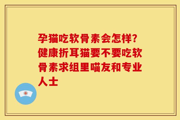 孕猫吃软骨素会怎样？健康折耳猫要不要吃软骨素求组里喵友和专业人士