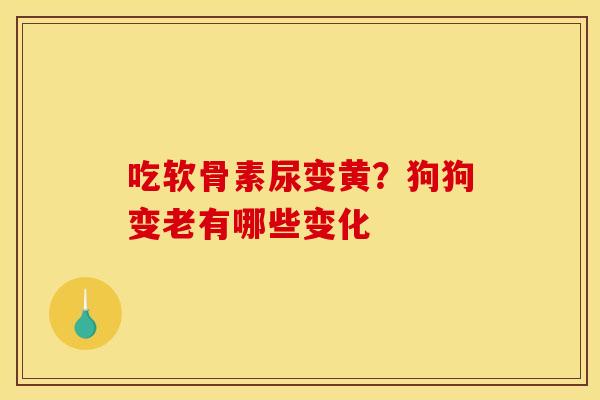 吃软骨素尿变黄？狗狗变老有哪些变化