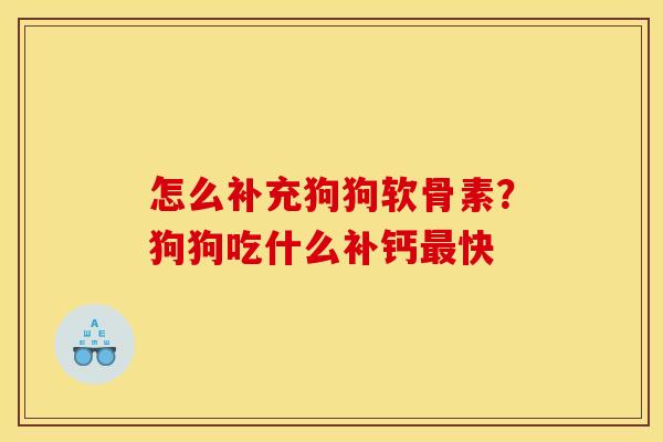 怎么补充狗狗软骨素？狗狗吃什么补钙最快