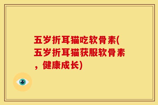 五岁折耳猫吃软骨素(五岁折耳猫获服软骨素，健康成长)