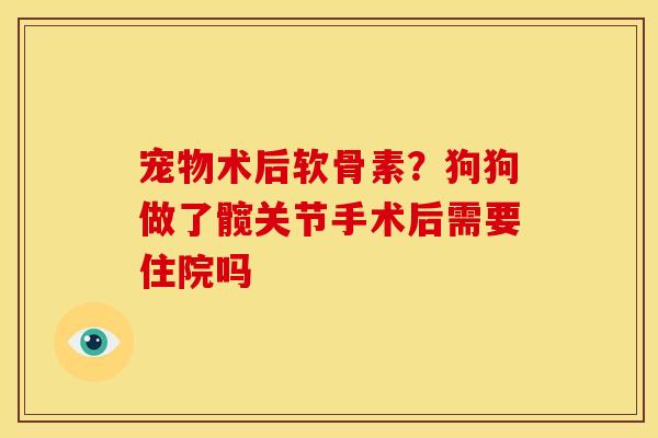 宠物术后软骨素？狗狗做了髋关节手术后需要住院吗