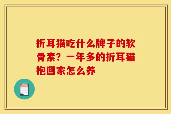 折耳猫吃什么牌子的软骨素？一年多的折耳猫抱回家怎么养