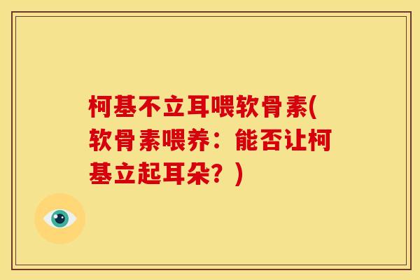 柯基不立耳喂软骨素(软骨素喂养：能否让柯基立起耳朵？)