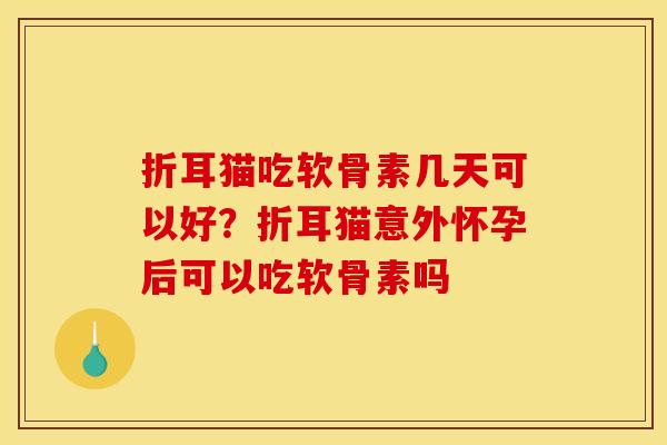 折耳猫吃软骨素几天可以好？折耳猫意外怀孕后可以吃软骨素吗