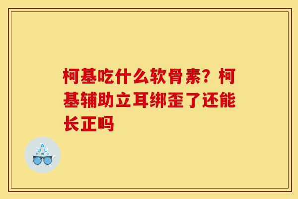 柯基吃什么软骨素？柯基辅助立耳绑歪了还能长正吗