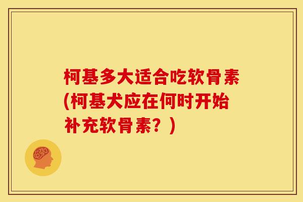 柯基多大适合吃软骨素(柯基犬应在何时开始补充软骨素？)