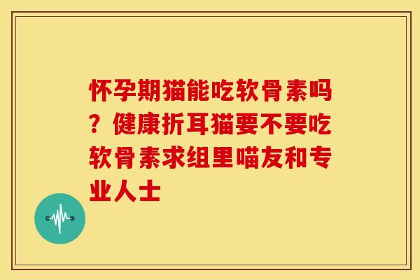 怀孕期猫能吃软骨素吗？健康折耳猫要不要吃软骨素求组里喵友和专业人士