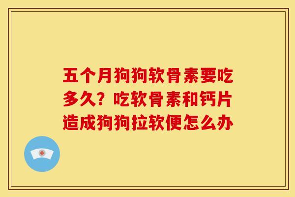 五个月狗狗软骨素要吃多久?吃软骨素和钙片造成狗狗拉软便怎么办 五个月狗狗软骨素要吃多久?吃软骨素和钙片造成狗狗拉软便怎么办