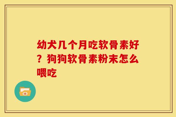 幼犬几个月吃软骨素好？狗狗软骨素粉末怎么喂吃