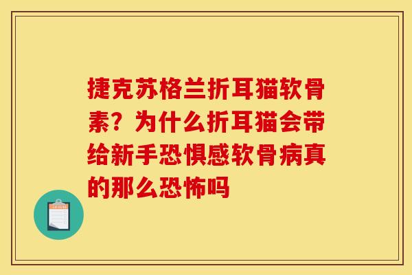 捷克苏格兰折耳猫软骨素?为什么折耳猫会带给新手恐惧感软骨真的那么恐怖吗 捷克苏格兰折耳猫软骨素?为什么折耳猫会带给新手恐惧感软骨真的那么恐怖吗