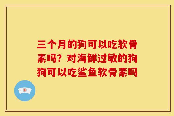 三个月的狗可以吃软骨素吗？对海鲜的狗狗可以吃鲨鱼软骨素吗