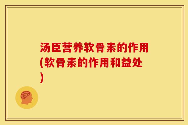 汤臣营养软骨素的作用(软骨素的作用和益处)