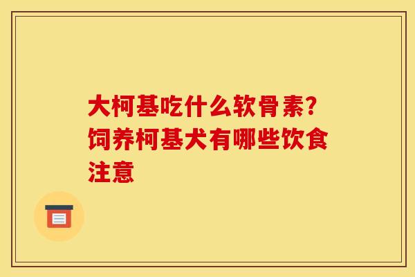 大柯基吃什么软骨素？饲养柯基犬有哪些饮食注意