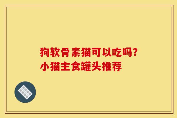 狗软骨素猫可以吃吗？小猫主食罐头推荐