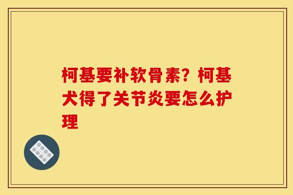 柯基要补软骨素？柯基犬得了关节炎要怎么护理