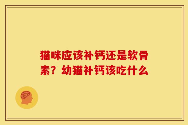 猫咪应该补钙还是软骨素？幼猫补钙该吃什么
