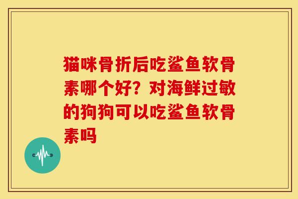 猫咪骨折后吃鲨鱼软骨素哪个好？对海鲜过敏的狗狗可以吃鲨鱼软骨素吗