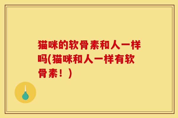 猫咪的软骨素和人一样吗(猫咪和人一样有软骨素！)