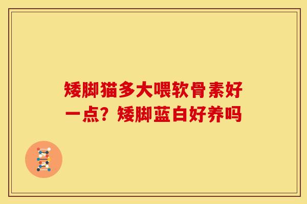矮脚猫多大喂软骨素好一点？矮脚蓝白好养吗