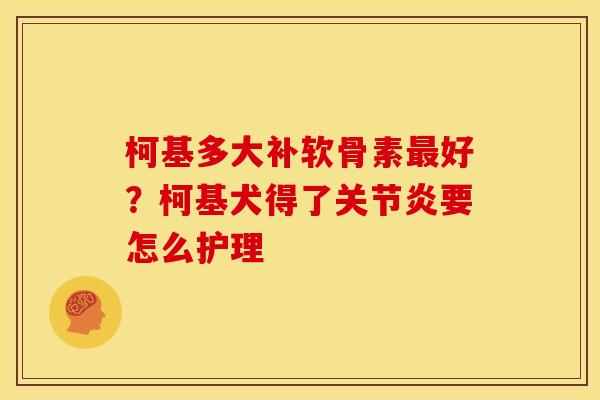 柯基多大补软骨素最好？柯基犬得了关节炎要怎么护理
