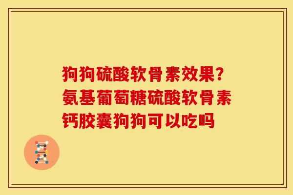 狗狗硫酸软骨素效果？氨基葡萄糖硫酸软骨素钙胶囊狗狗可以吃吗