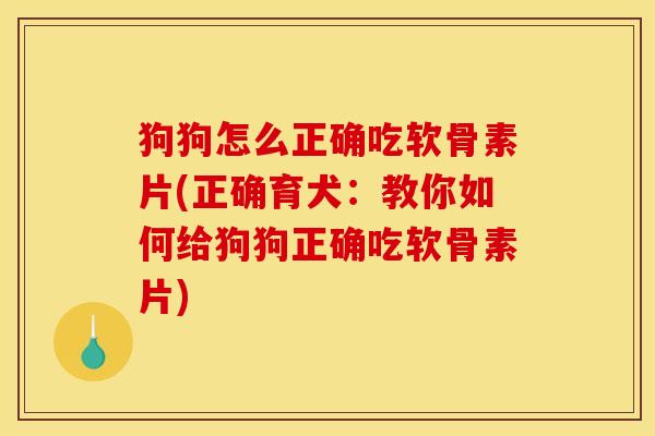 狗狗怎么正确吃软骨素片(正确育犬：教你如何给狗狗正确吃软骨素片)