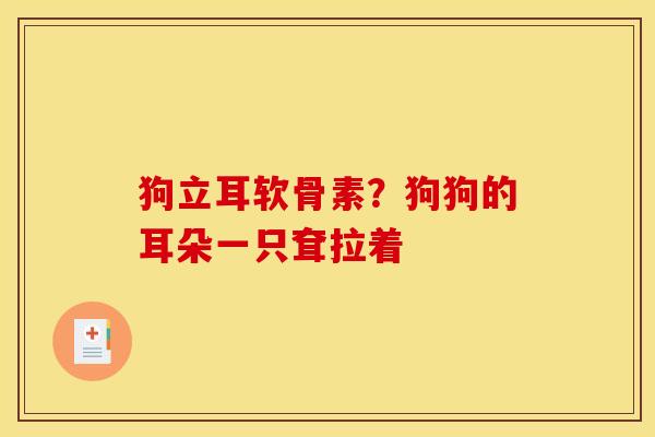 狗立耳软骨素？狗狗的耳朵一只耷拉着