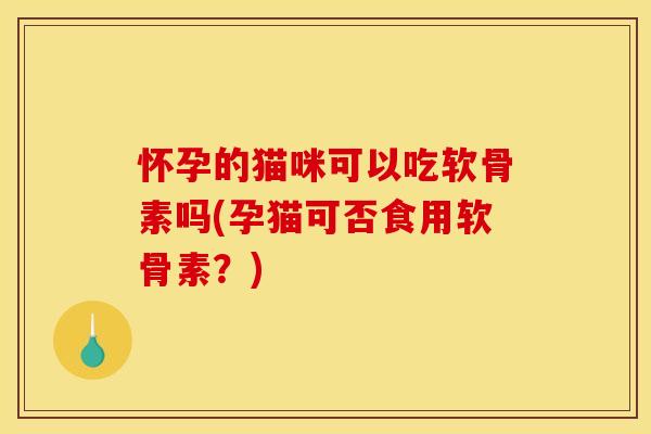 怀孕的猫咪可以吃软骨素吗(孕猫可否食用软骨素？)