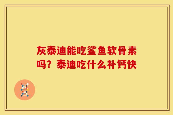 灰泰迪能吃鲨鱼软骨素吗？泰迪吃什么补钙快