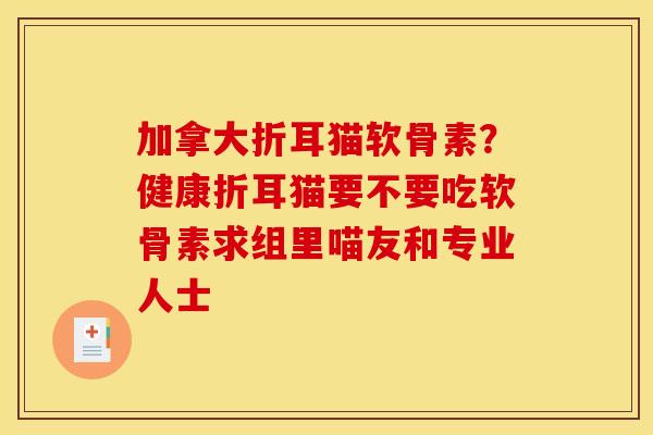 加拿大折耳猫软骨素？健康折耳猫要不要吃软骨素求组里喵友和专业人士