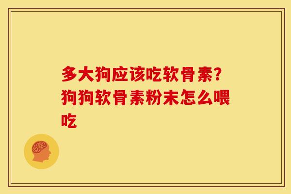 多大狗应该吃软骨素？狗狗软骨素粉末怎么喂吃