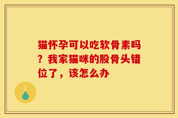 猫怀孕可以吃软骨素吗？我家猫咪的股骨头错位了，该怎么办