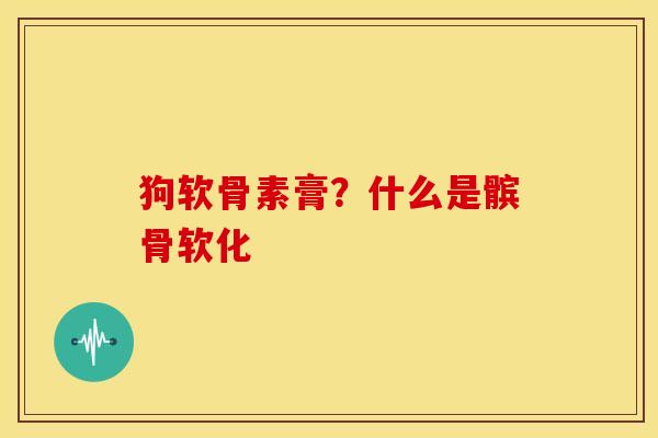 狗软骨素膏?什么是髌骨软化 狗软骨素膏?什么是髌骨软化