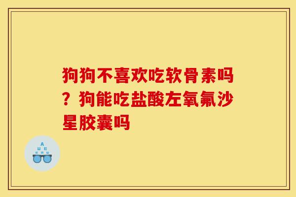狗狗不喜欢吃软骨素吗?狗能吃盐酸左氧氟沙星胶囊吗 狗狗不喜欢吃软骨素吗?狗能吃盐酸左氧氟沙星胶囊吗