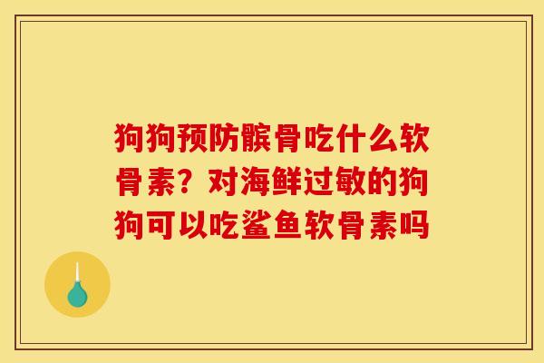 狗狗预防髌骨吃什么软骨素？对海鲜过敏的狗狗可以吃鲨鱼软骨素吗