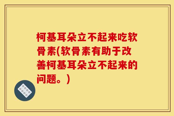 柯基耳朵立不起来吃软骨素(软骨素有助于改善柯基耳朵立不起来的问题。)