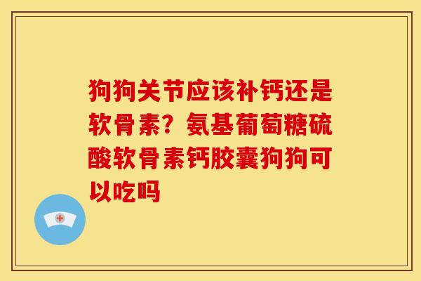 狗狗关节应该补钙还是软骨素？氨基葡萄糖硫酸软骨素钙胶囊狗狗可以吃吗